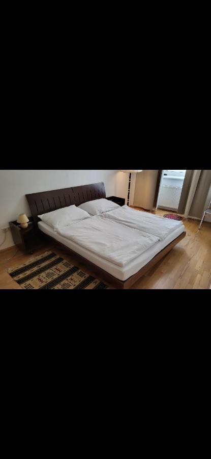 Schoene Altbauwohnung Wien Zentrum Brigittenauer Laende 32 Luaran gambar