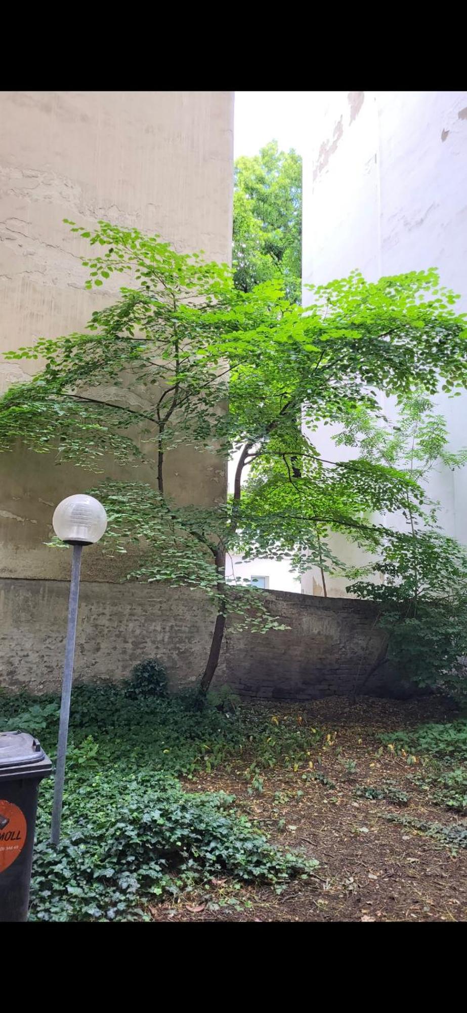 Schoene Altbauwohnung Wien Zentrum Brigittenauer Laende 32 Luaran gambar